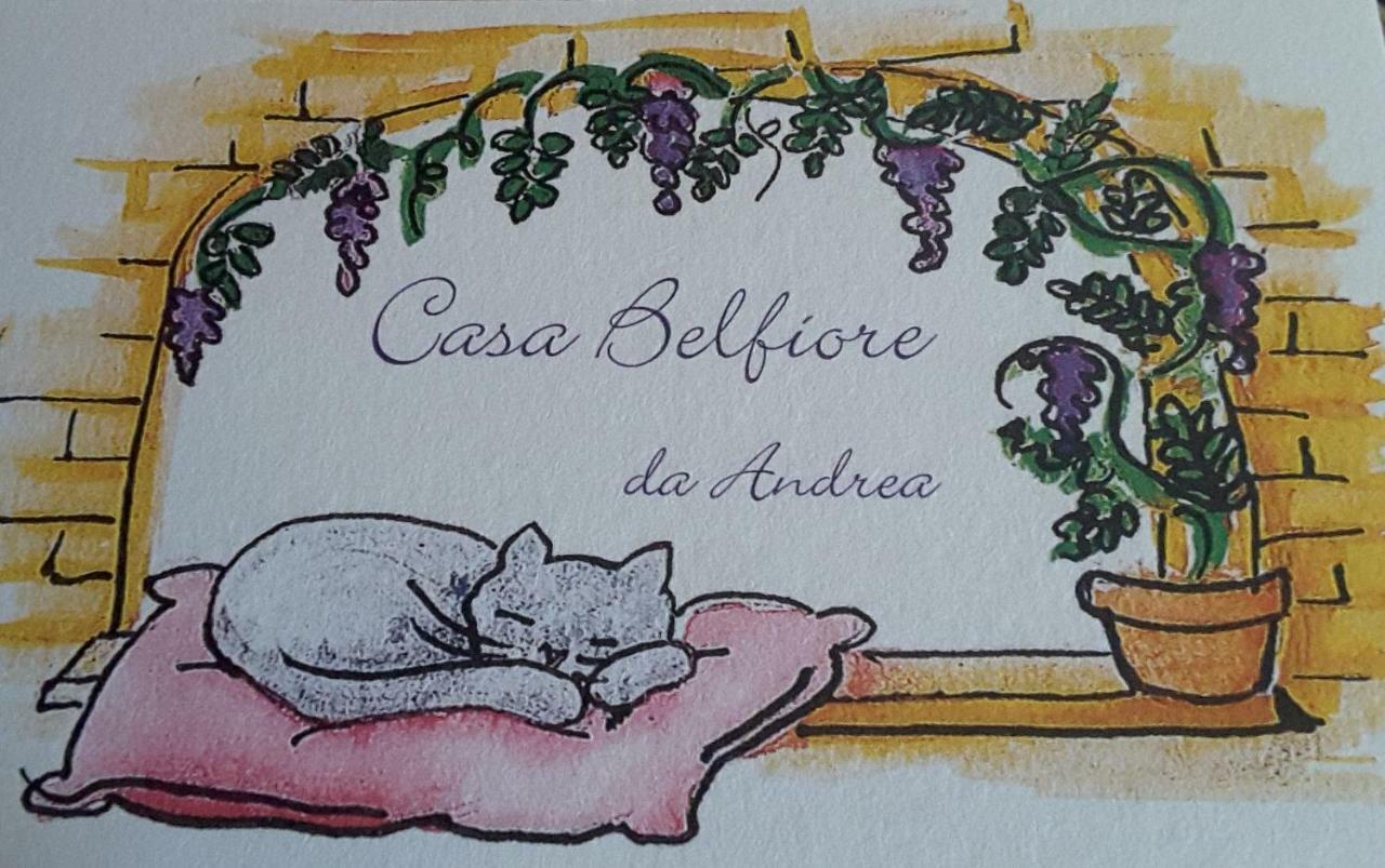 Casa Belfiore Da Andrea Ferrara Exterior photo